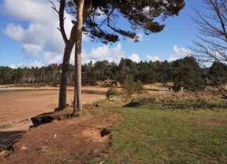 Discover Scotland’s John Muir Way: A Complete Guide for Spring and Summer Explorations news-17082024-123438