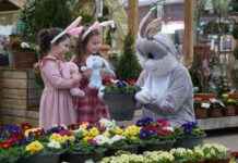 Easter Events at Dobbies: Afternoon Tea & Dog Trail easter-events-at-dobbies-afternoon-tea-dog-trail