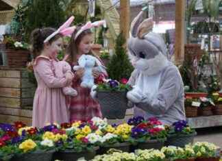 Easter Events at Dobbies: Afternoon Tea & Dog Trail easter-events-at-dobbies-afternoon-tea-dog-trail