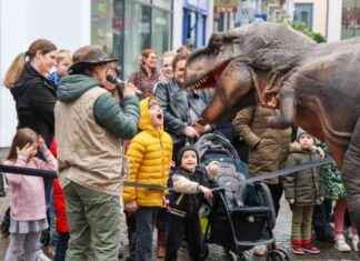 Dinosaur Extravaganza at Stirling Mall – Unmissable Family Fun! dinosaur-extravaganza-at-stirling-mall-unmissable-family-fun